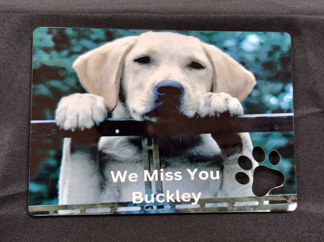 Pet Memorial photo board